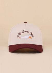 Silly Goose Hat