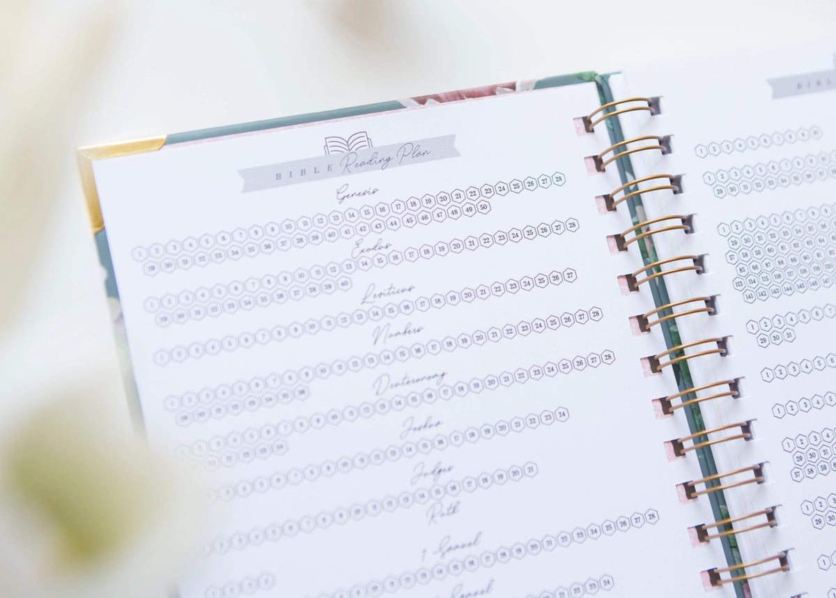 Behold Bible Journal