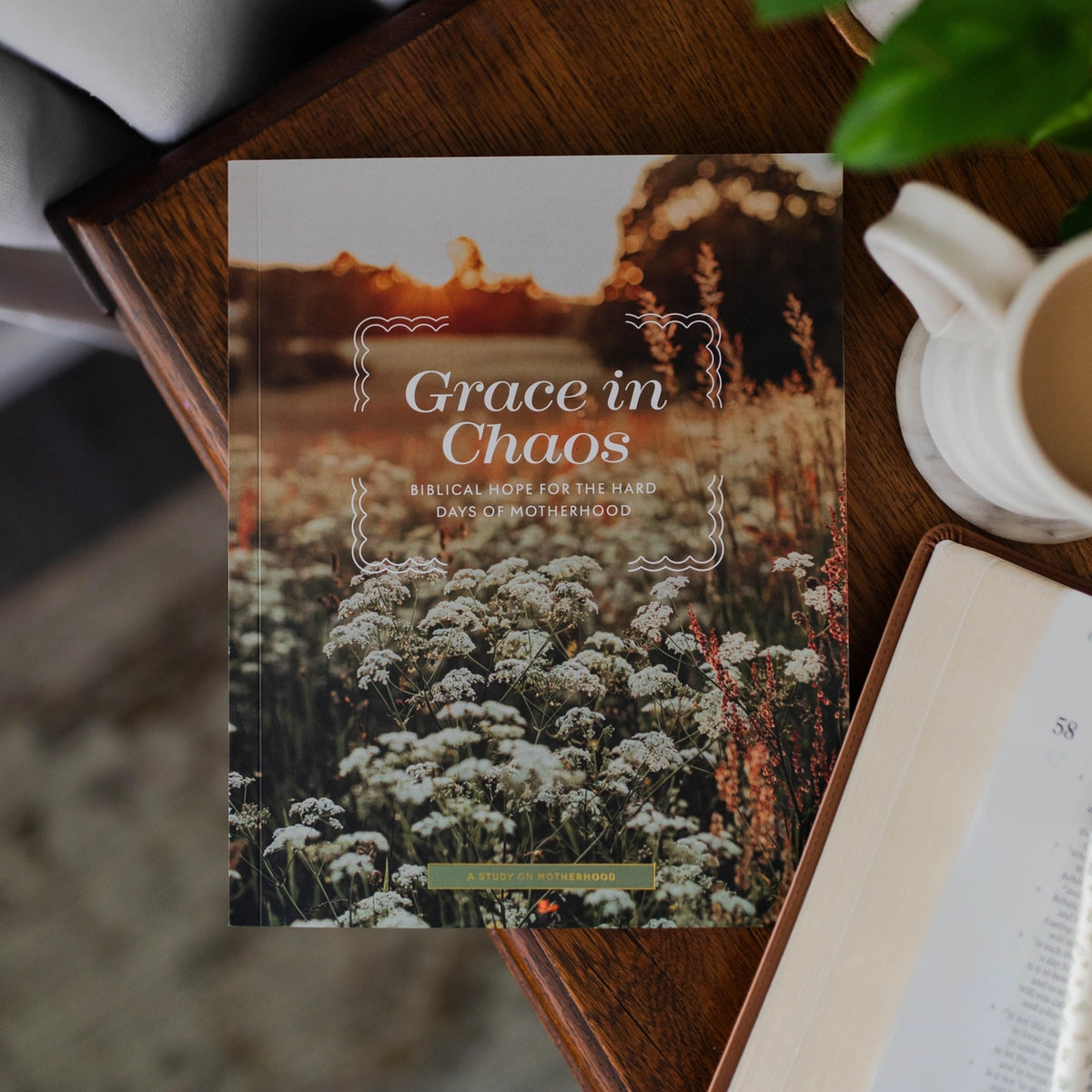 Grace in Chaos Study