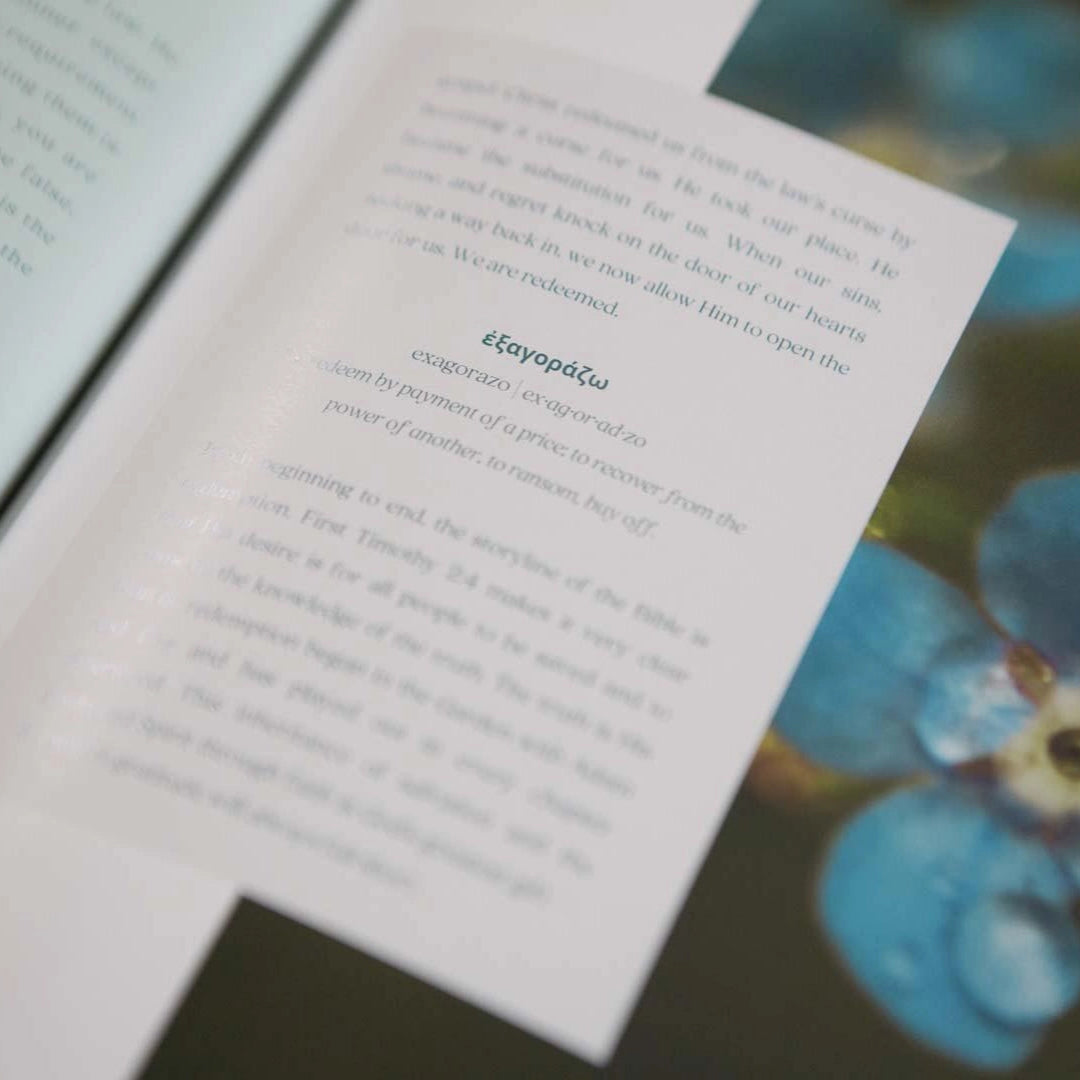 Galatians Bible Study