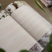 Galatians Bible Study