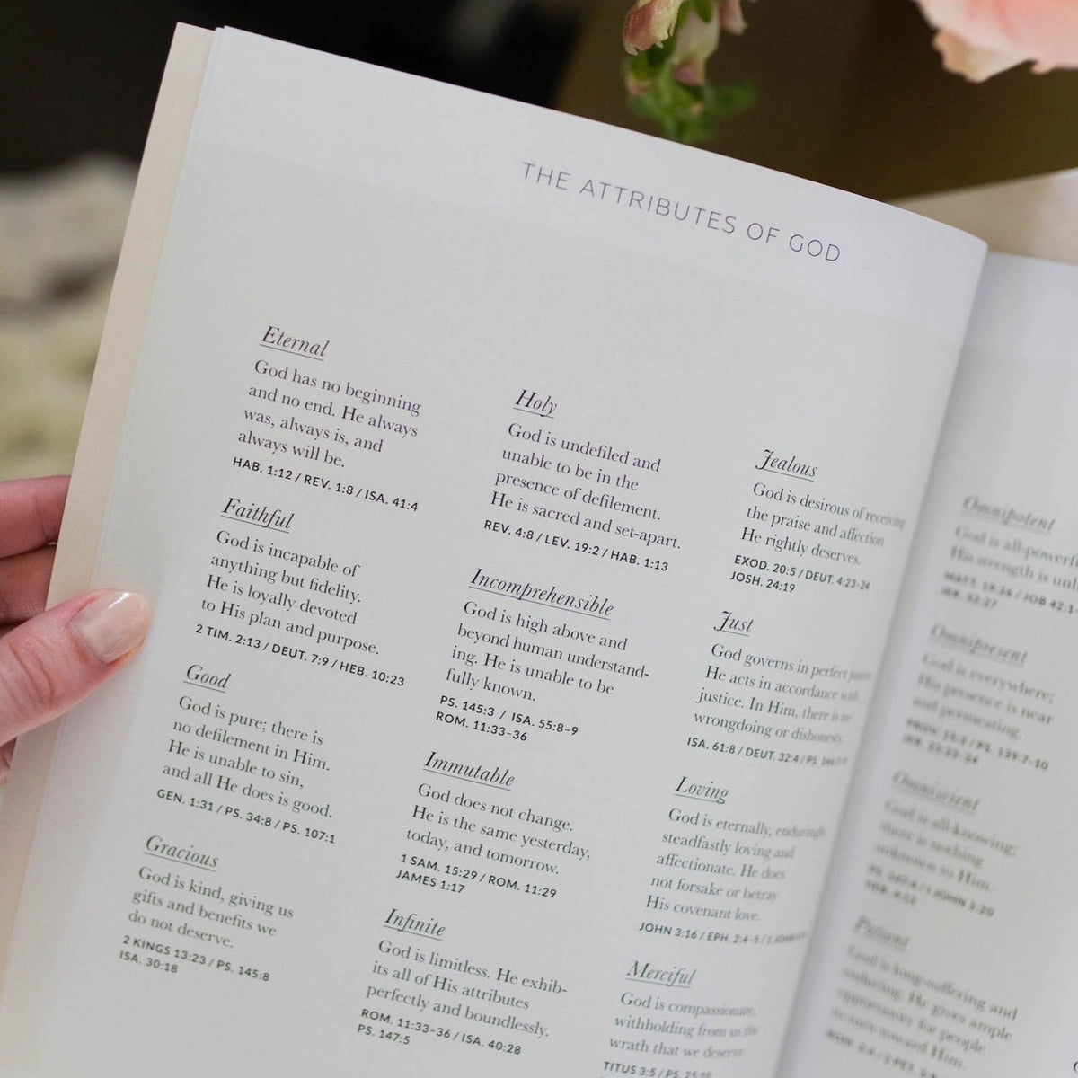 Growing in Grace Bible Study