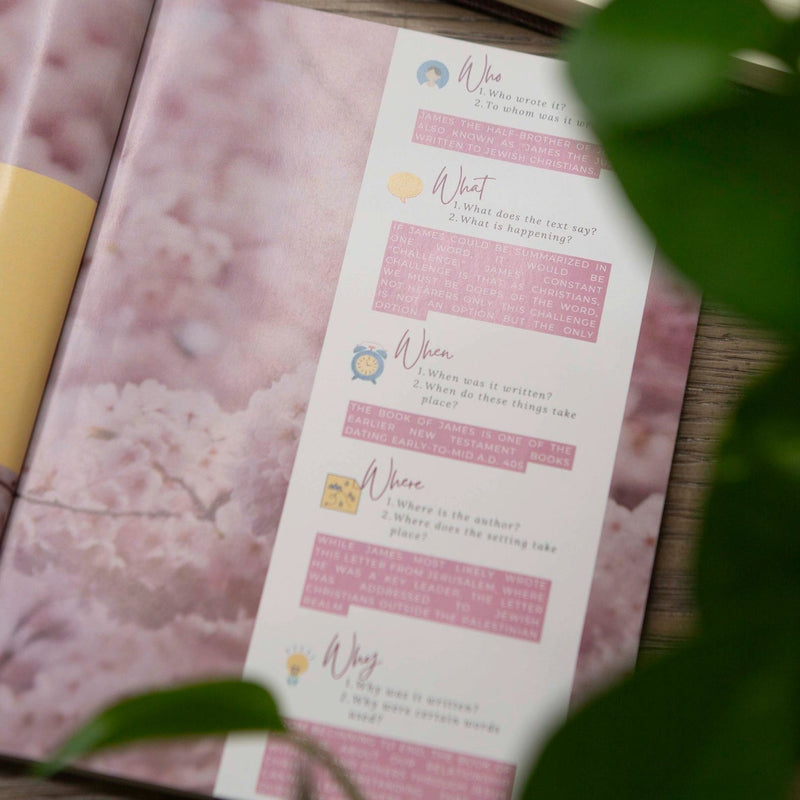 James Bible Study – Endless Dreams Boutique