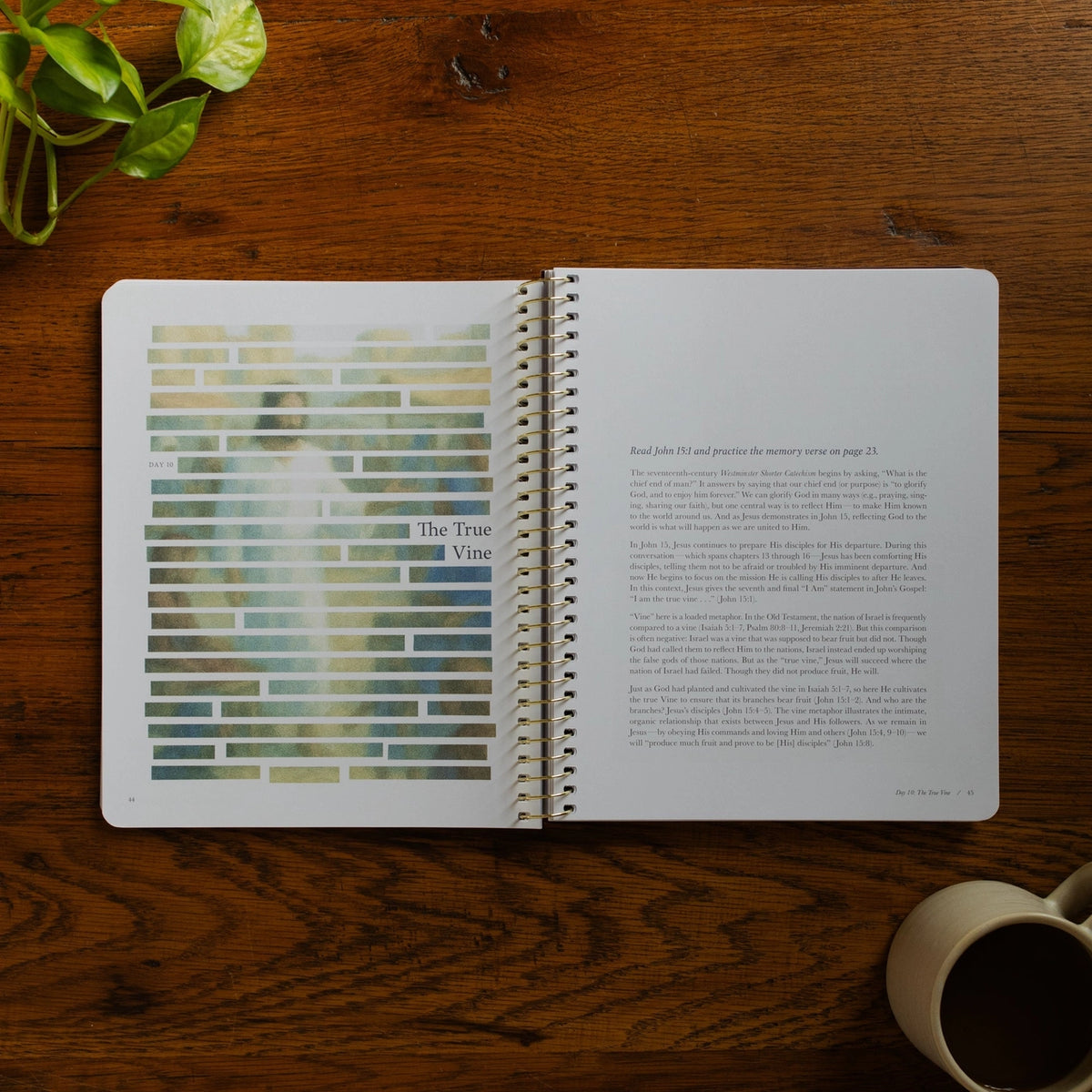 40 Sayings of Jesus Study