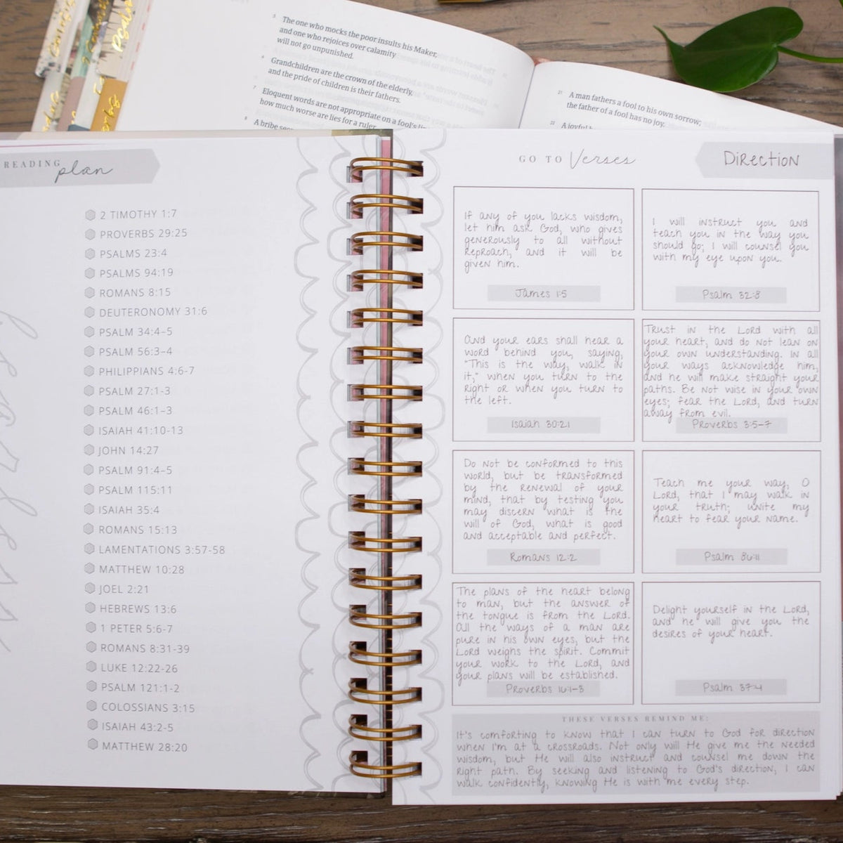 New Mercies Prayer & Scripture Journal