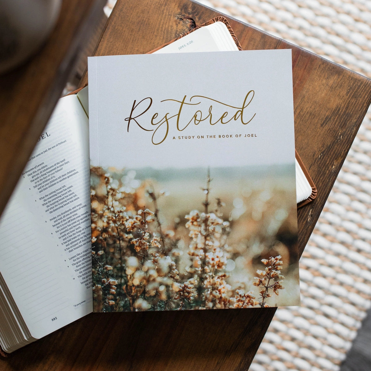 Restored Bible Study