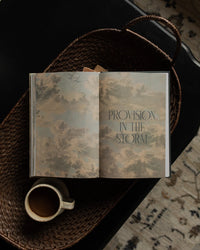 When Storms Rage Book